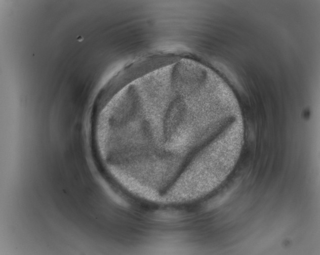 X0000100390630200807031950