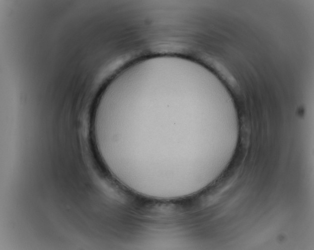 X0000100390631200807031950