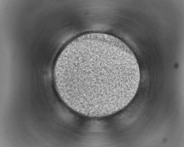 X0000100390632200807031950