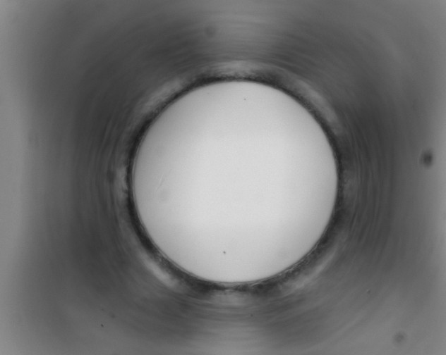 X0000100390633200807031950