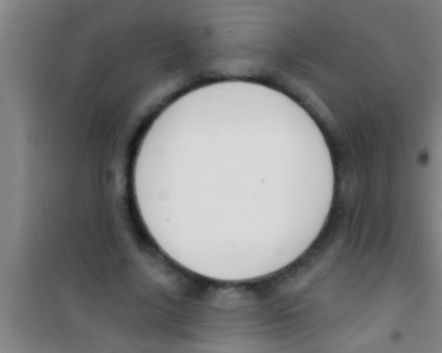 X0000100390635200807031950