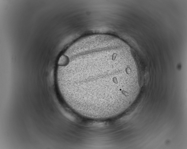 X0000100390638200807031950