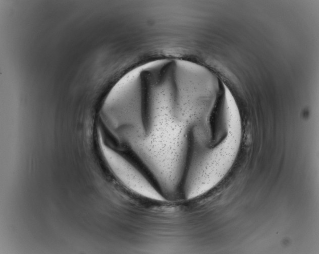 X0000100390639200807031950