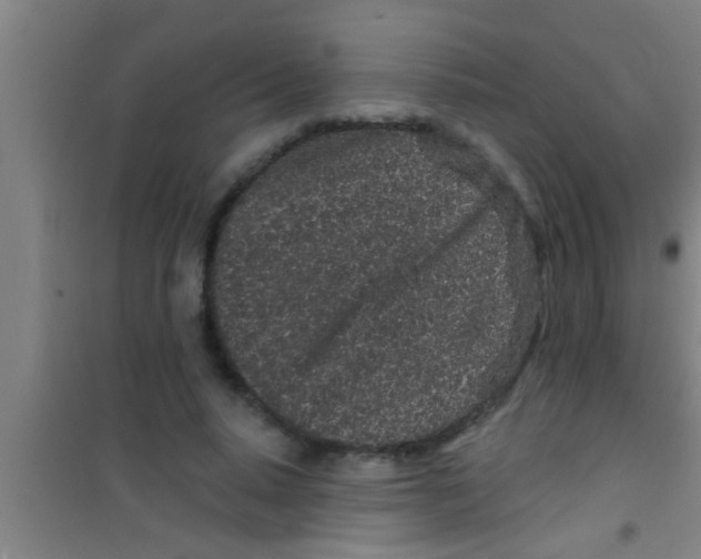 X0000100390640200807031950