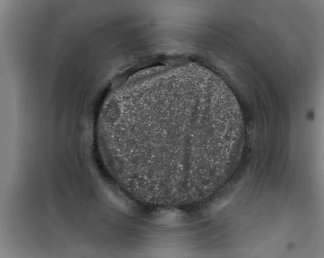 X0000100390642200807031950