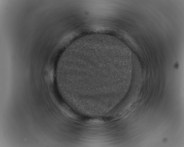 X0000100390644200807031950