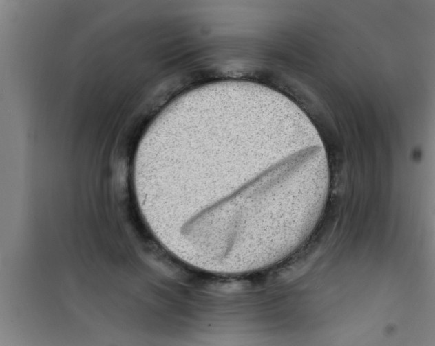 X0000100390646200807031950