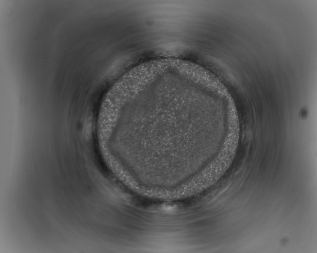 X0000100390647200807031950