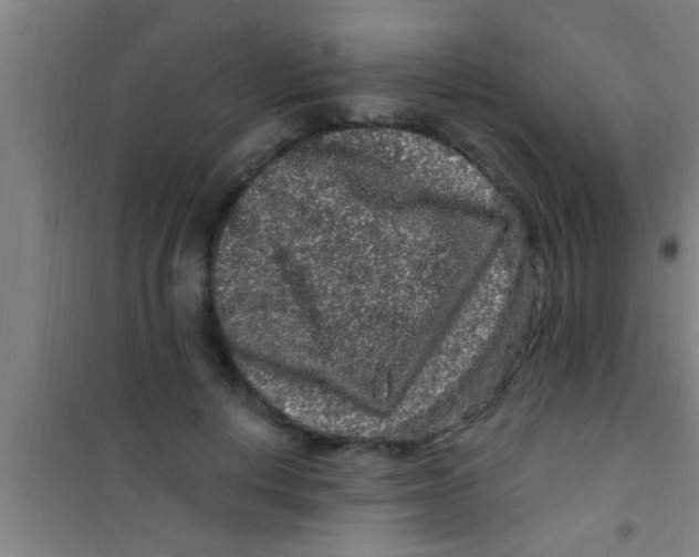 X0000100390648200807031950