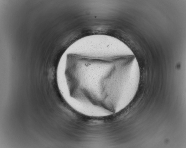 X0000100390649200807031950