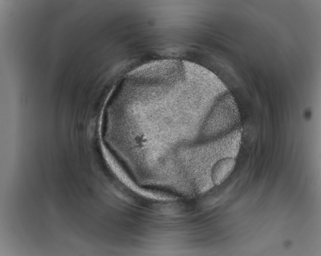 X0000100390652200807031951