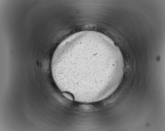 X0000100390654200807031951