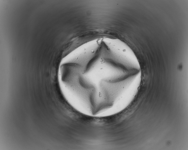 X0000100390656200807031951