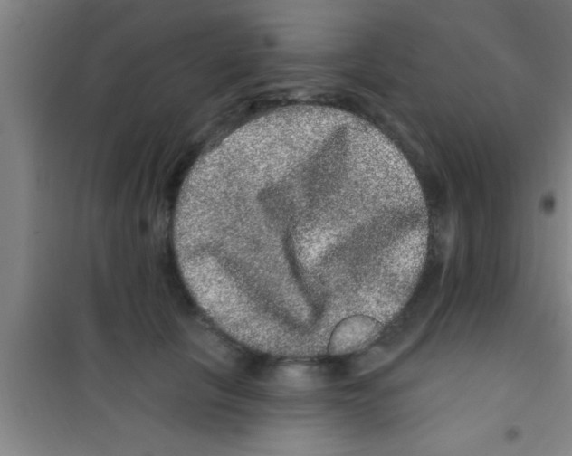 X0000100390657200807031951