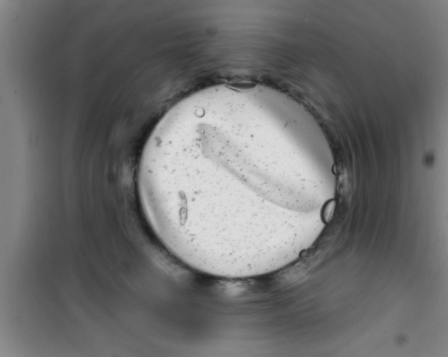 X0000100390662200807031951