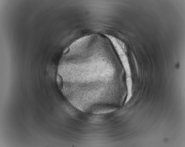 X0000100390664200807031951