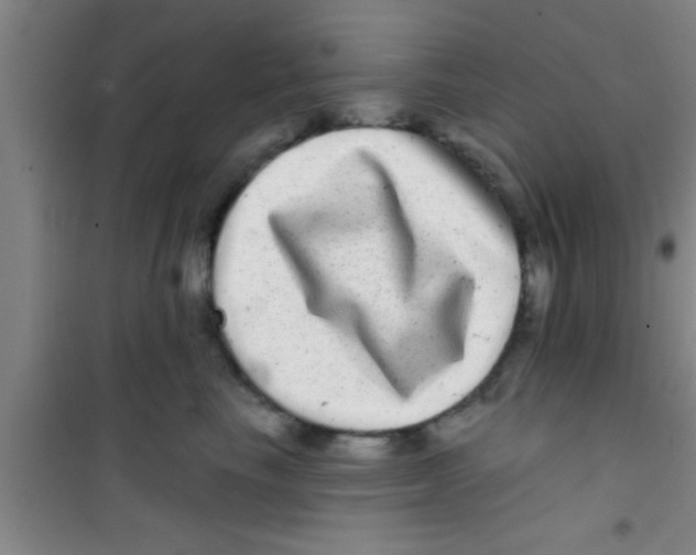 X0000100390665200807031951