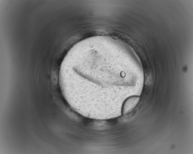 X0000100390666200807031951