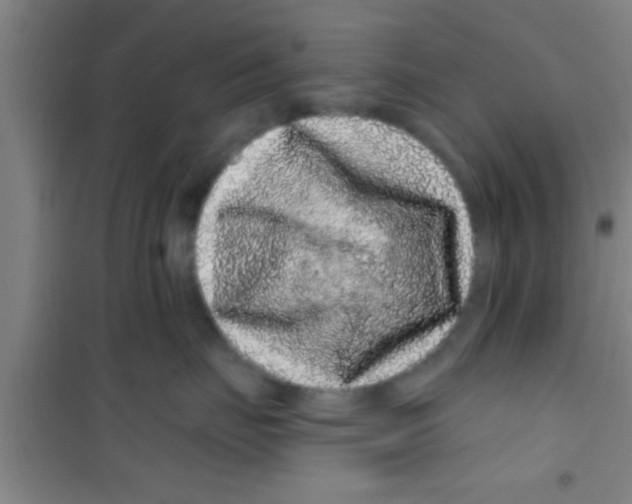 X0000100390671200807031951