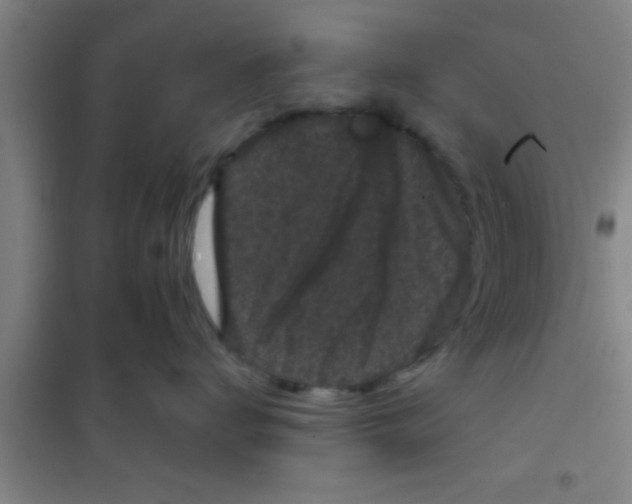 X0000100390672200807031951