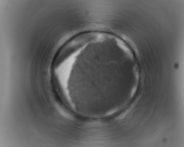 X0000100390674200807031950