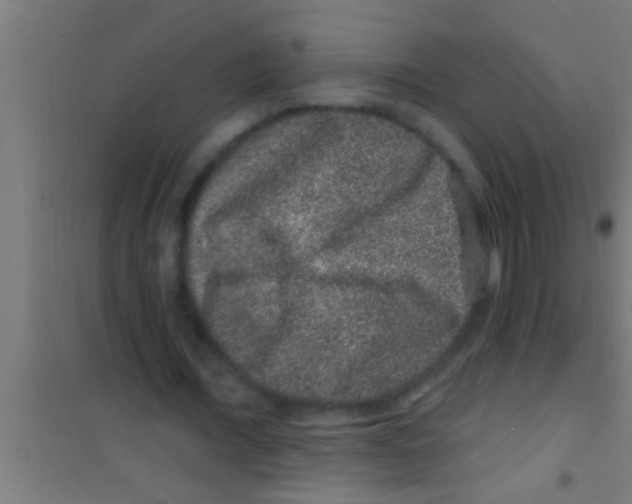 X0000100390675200807031950