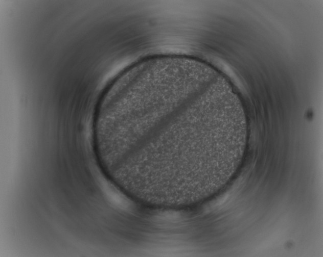 X0000100390677200807031950