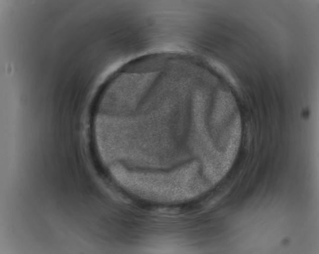 X0000100390680200807031950