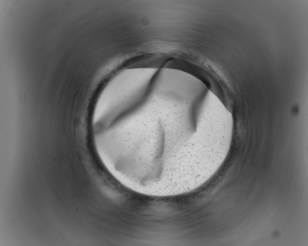 X0000100390682200807031950