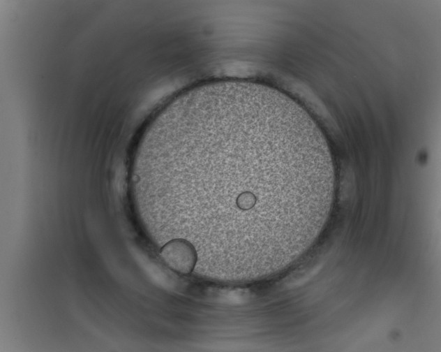 X0000100390683200807031950