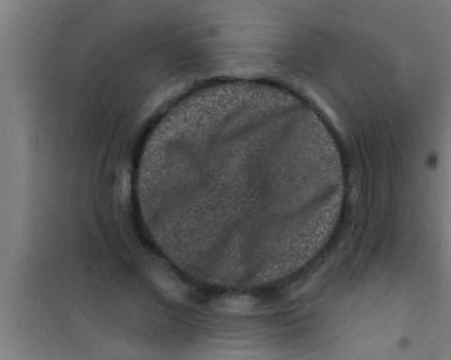 X0000100390685200807031950