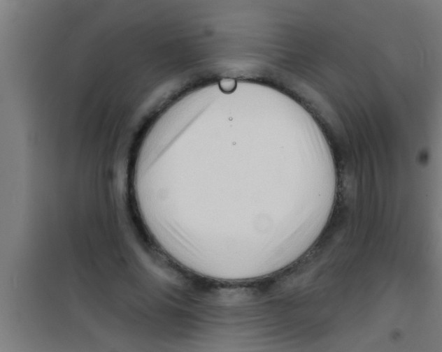 X0000100390686200807031950