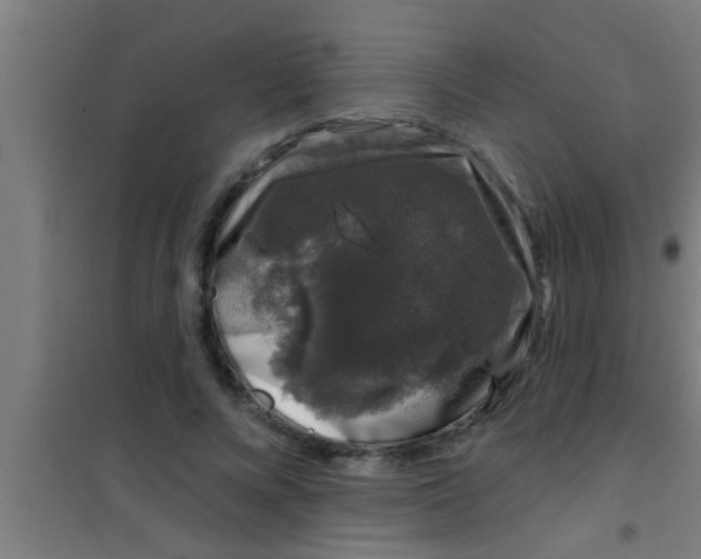 X0000100390688200807031950