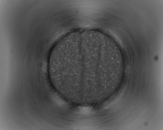 X0000100390689200807031950