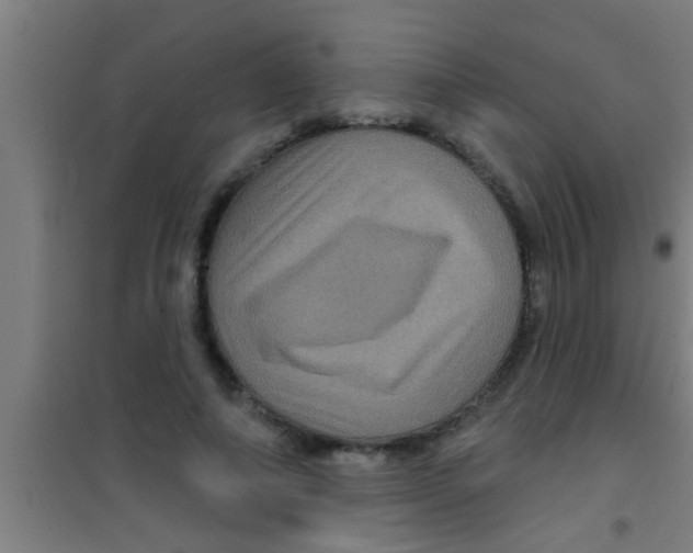 X0000100390690200807031950