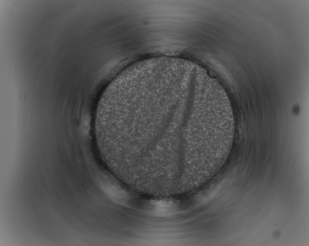 X0000100390693200807031950