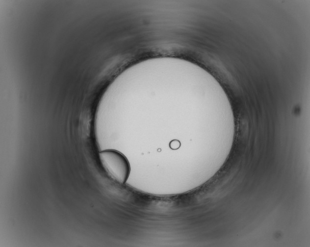 X0000100390694200807031950