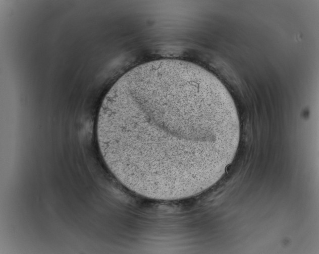 X0000100390697200807031950