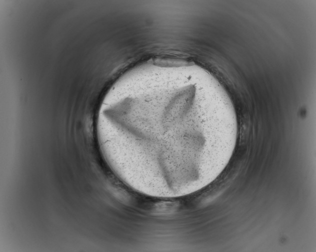 X0000100390700200807031950