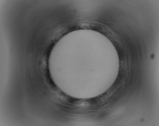 X0000100390702200807031950