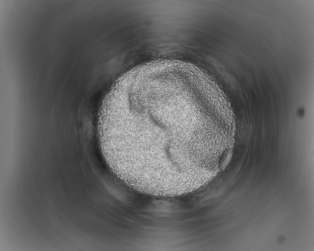 X0000100390703200807031950