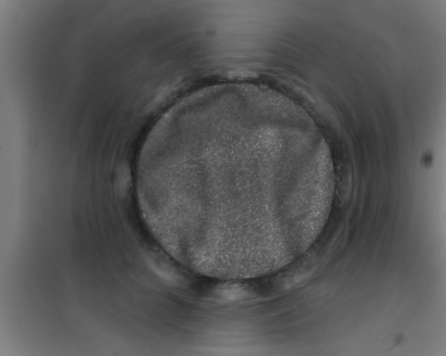 X0000100390704200807031950