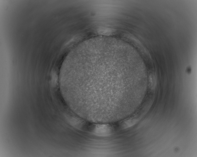 X0000100390705200807031949