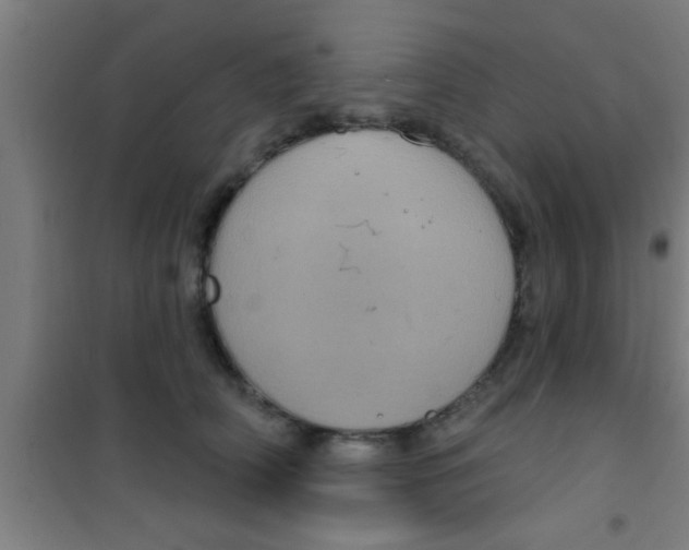 X0000100390706200807031949