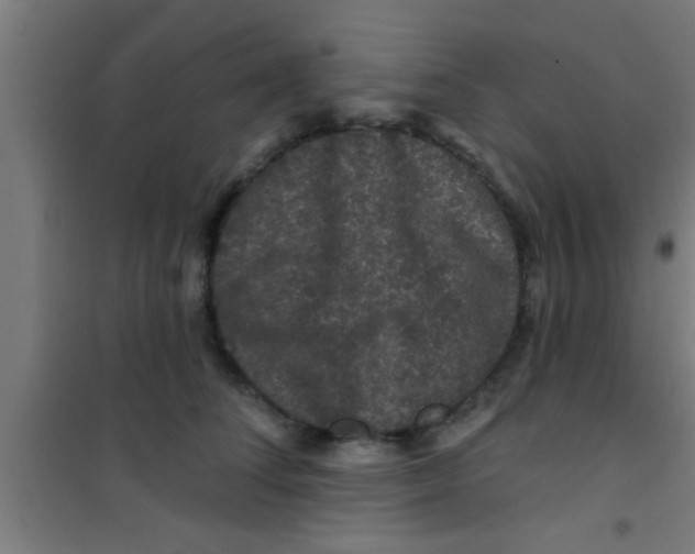 X0000100390708200807031949