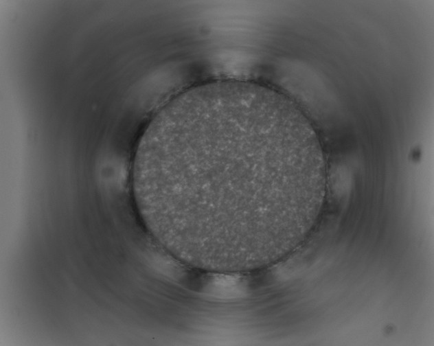 X0000100390709200807031949