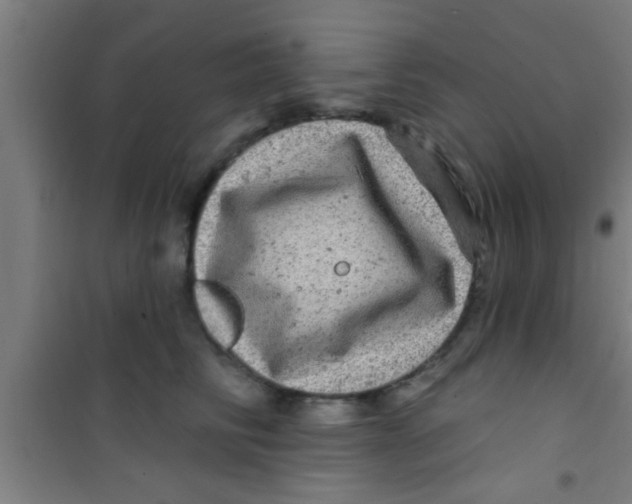 X0000100390710200807031949