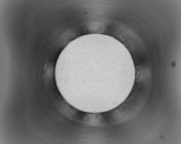 X0000100390713200807031949