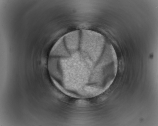 X0000100390714200807031949