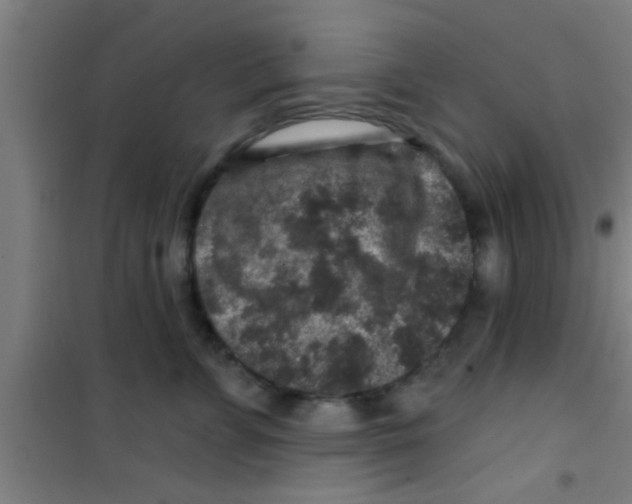 X0000100390715200807031949